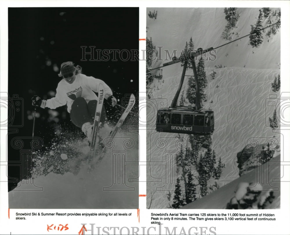 1996 Press Photo Snobird Ski &amp; Summer Resort downhill skiing - cvb26256 - Historic Images