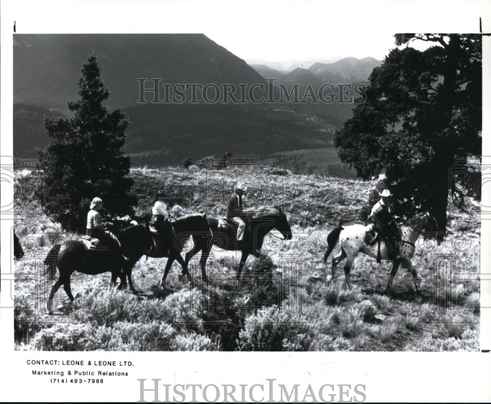 1994 Press Photo Scenic Splendor - cvb26450 - Historic Images