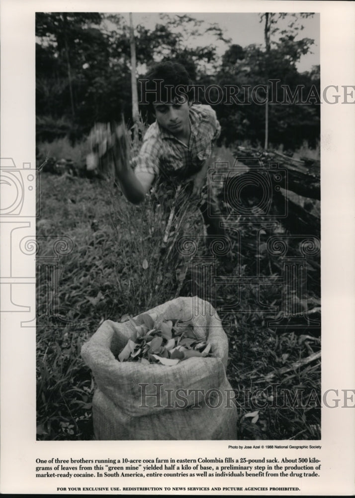 1988 Press Photo One of the men who runs a 10-acre coca farm in eastern Colombia - Historic Images