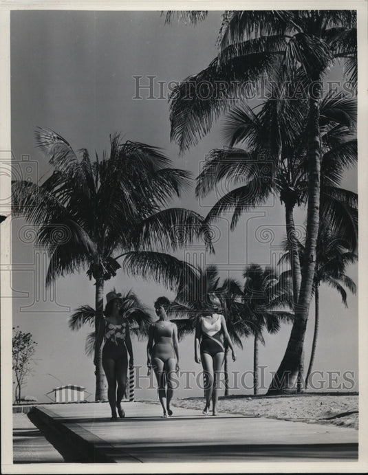 1967  Fort Lauderdale trees and palm-Historic Images