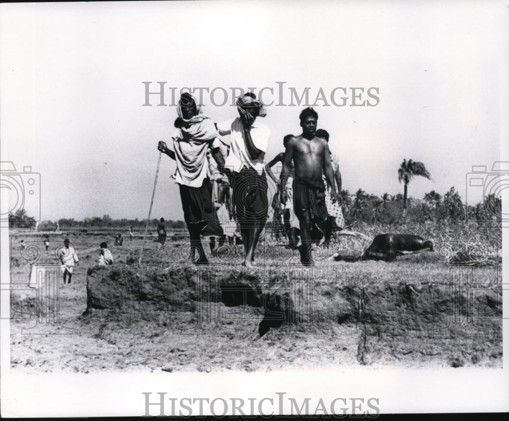 1970 Life and death in cyclone aftermath Manpura in East Pakistan-Historic Images