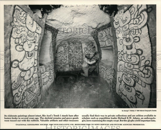 1986, Anthropology - cvb27031 - Historic Images