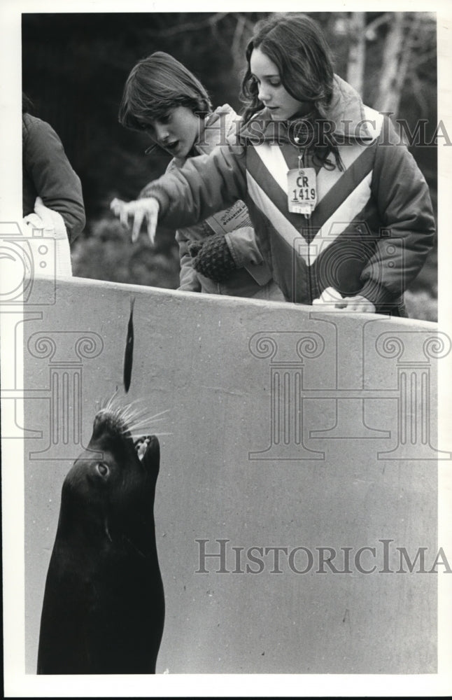 1980 Press Photo Seal - cvb27050 - Historic Images