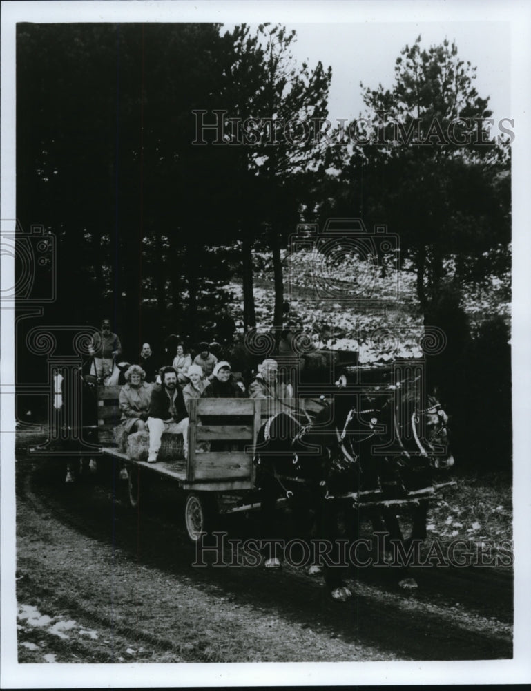 1992 Press Photo Manners Pine Tree Lodge - cvb27246 - Historic Images