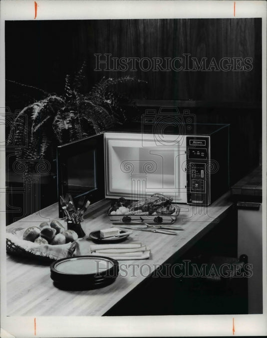1976 Press Photo Microwave oven - cvb27385 - Historic Images