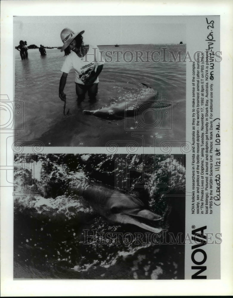 1992 Press Photo: PBS presents &quot;The Private Lives of Dolphins&quot; on PBS - Historic Images