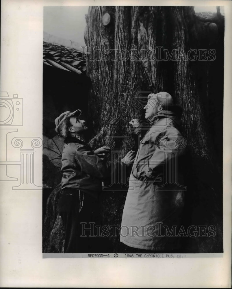 1948 Press Photo Two men and the Redwood tree - cvb27667 - Historic Images