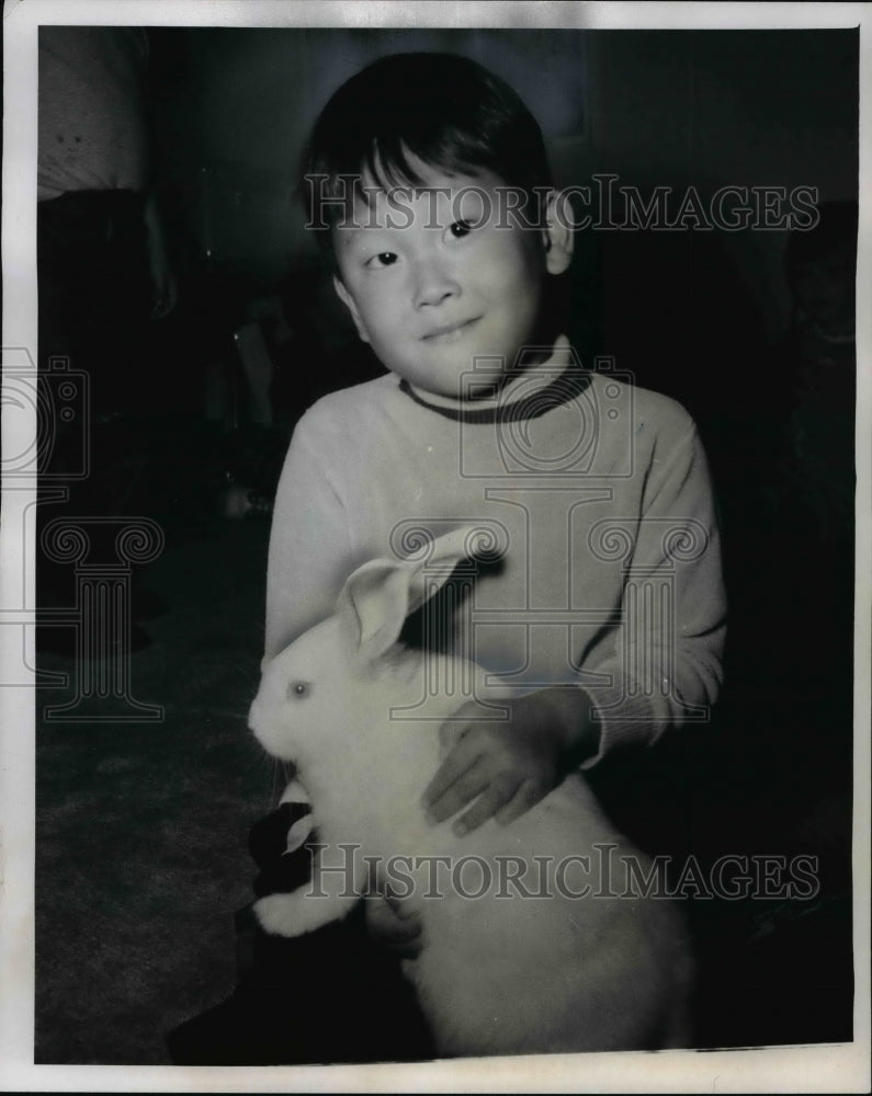 1969 Press Photo Billy Hahn, petting a rabbit at Akron University Nursery School-Historic Images