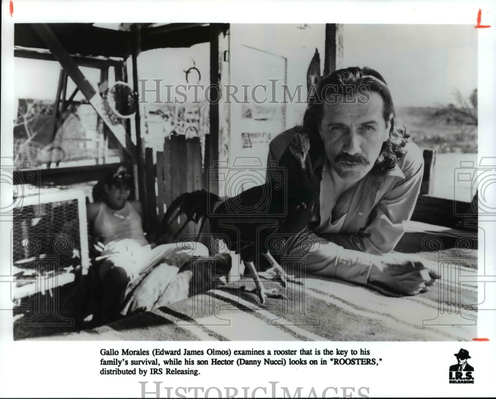 1995 Press Photo Edward James Olmos, Actor In Roosters - cvb28509 - Historic Images