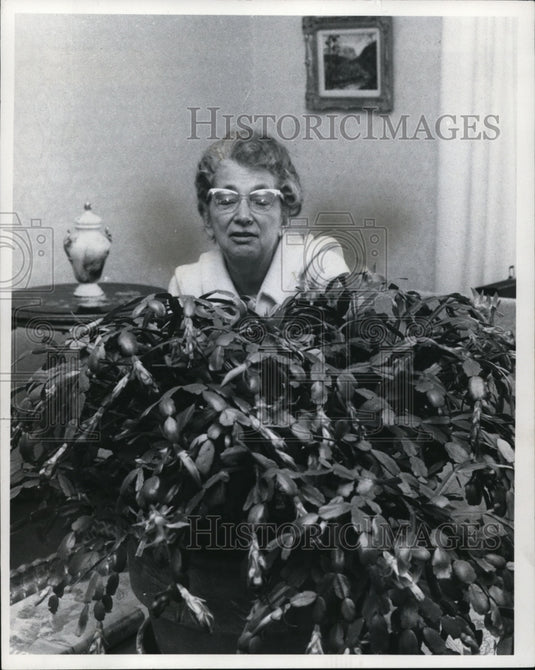 1972 Press Photo: Mrs. Florence Deutschman - Flowers & Plants - cvb28812 - Historic Images