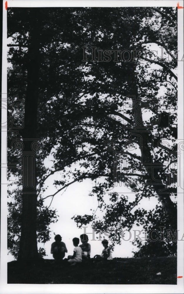 1977, Family picnic - cvb29060 - Historic Images