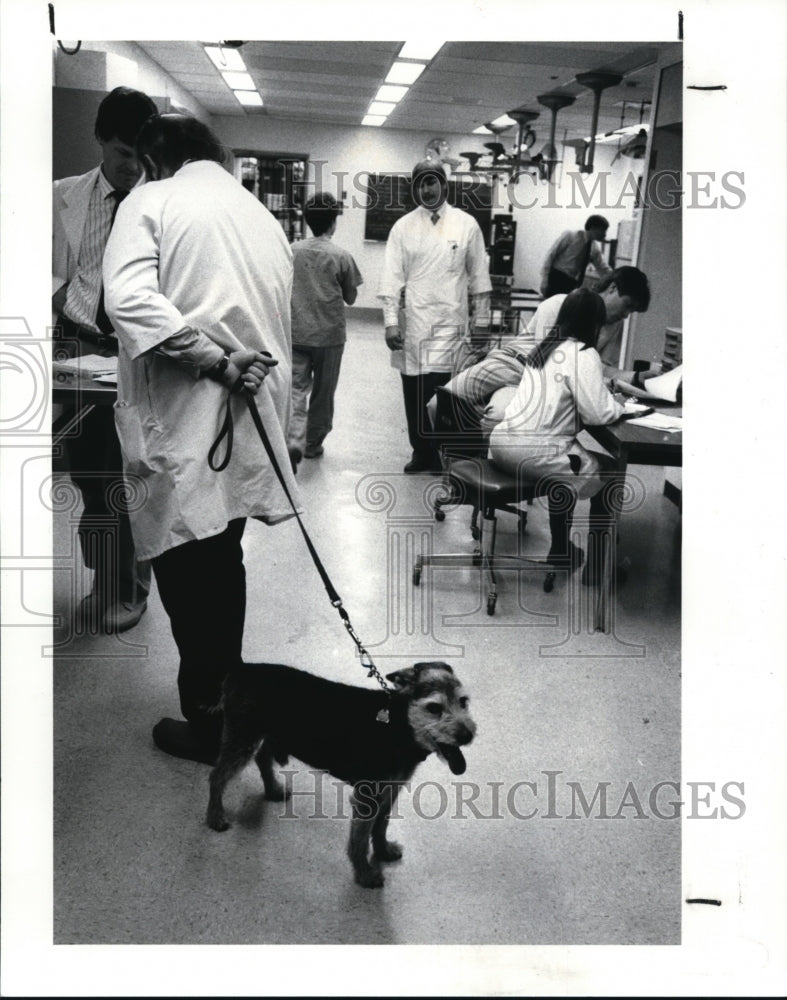 1987, Patients at the OSU School of Veterinarian Medicine - Historic Images