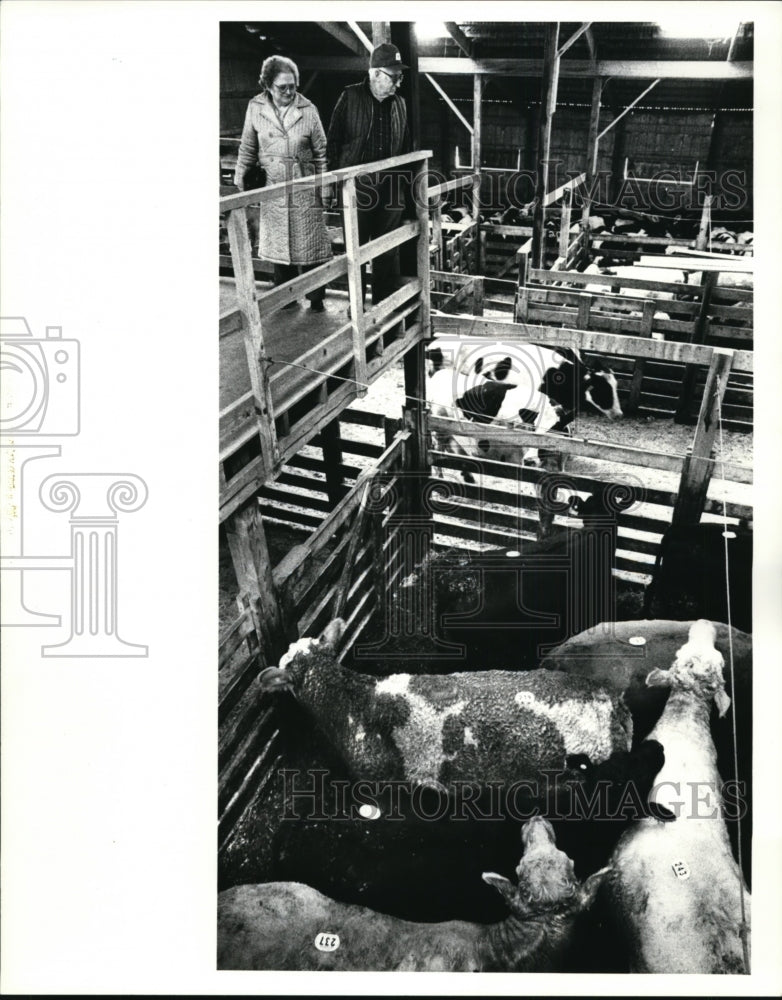 1988 Press Photo Animal Livestock - cvb29222 - Historic Images