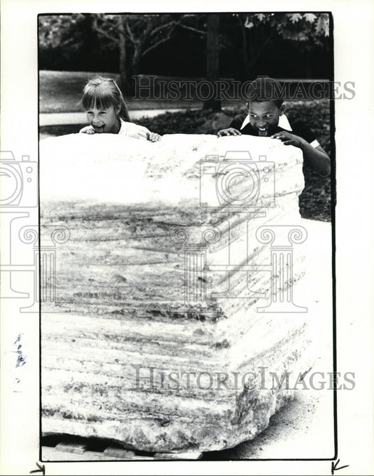 1985 Press Photo Salt - cvb29228 - Historic Images
