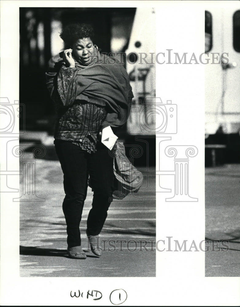 1988 Press Photo Janalee Johnson of Cleveland fighting the wind on Lakeside - Historic Images