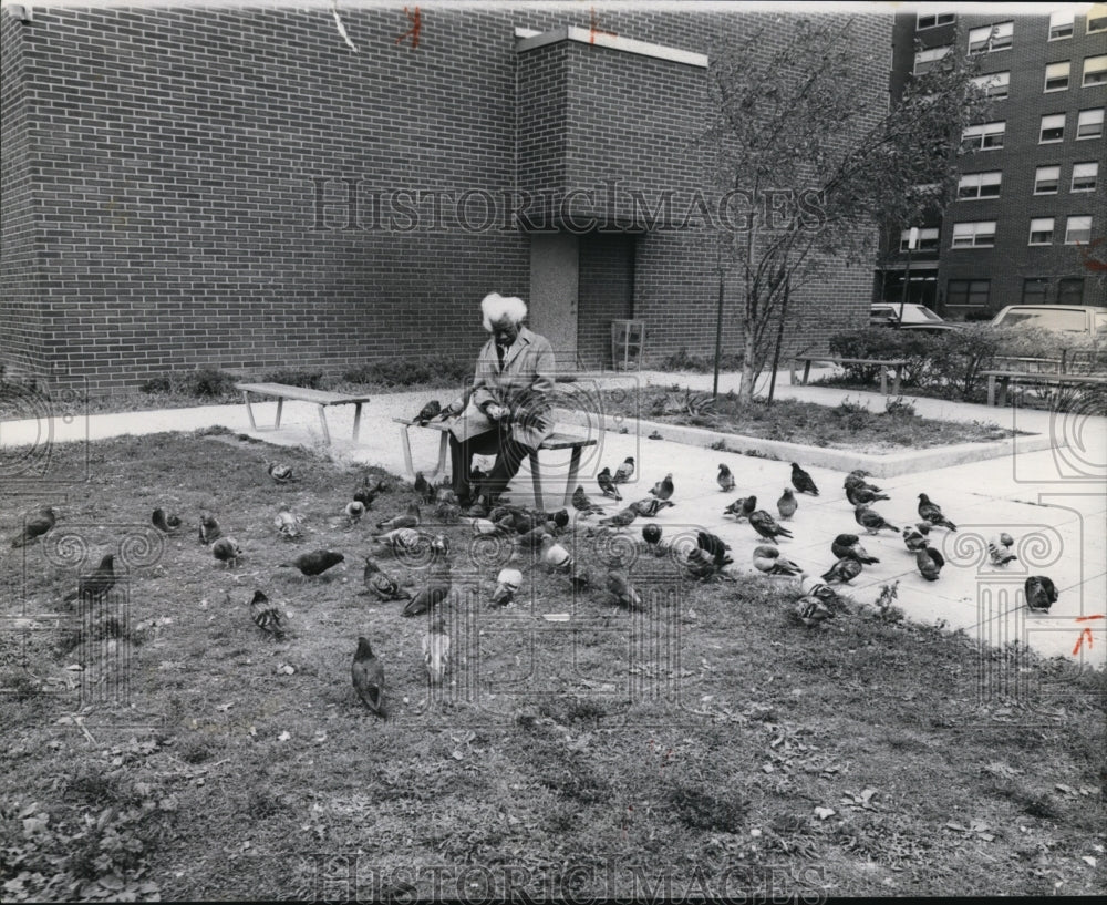 1976 Press Photo Old man was feeding pigeons at the King-Kennedy apartments - Historic Images