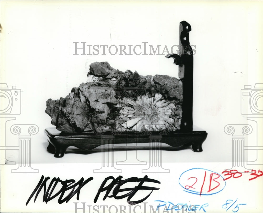 1979 Press Photo Rocks, Kikaseki - cvb29981 - Historic Images