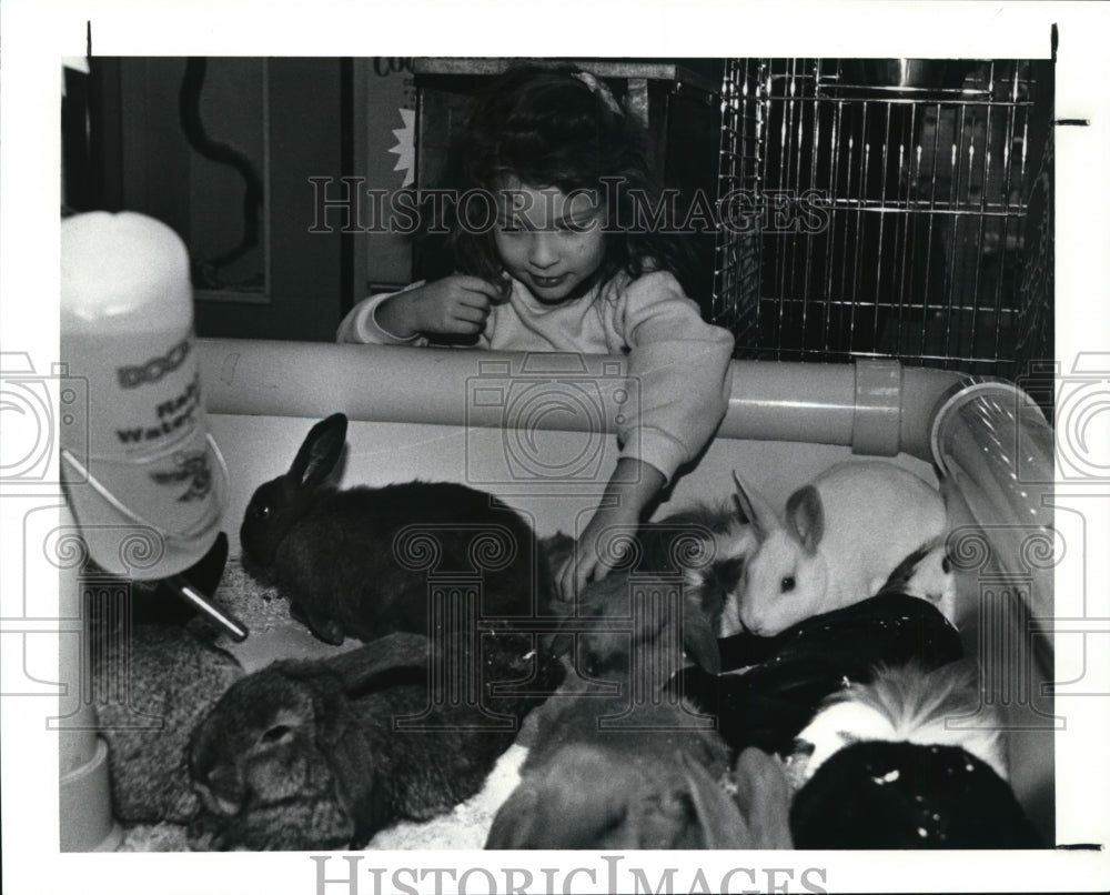 1991 Press Photo Animals - Rabbits - cvb30014 - Historic Images