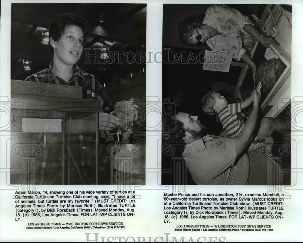 1986 Press Photo Adam Maron showing variety of turtles at California Turtle Club - Historic Images