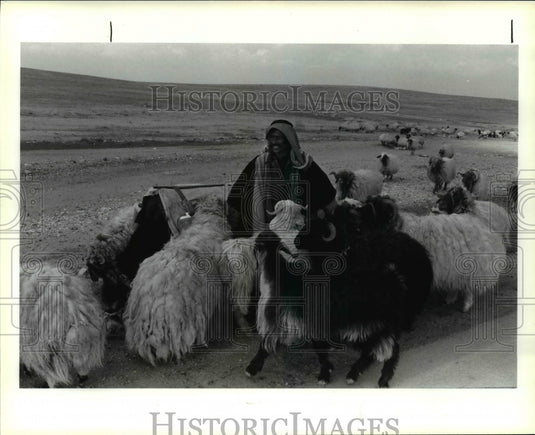 1994, Bedouin with his flock in Jordan - cvb30736 - Historic Images
