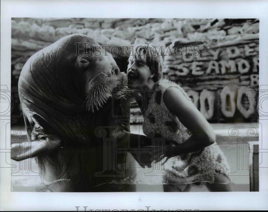 1986 Press Photo The whiskery rubs of walrus and the smash hit "Sea Lion Rock" - Historic Images