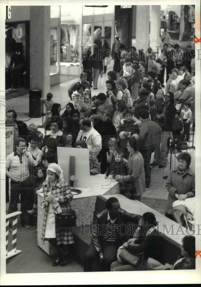 1980 Press Photo Christmas crowds shopping at Randall Mall - cvb30956 - Historic Images