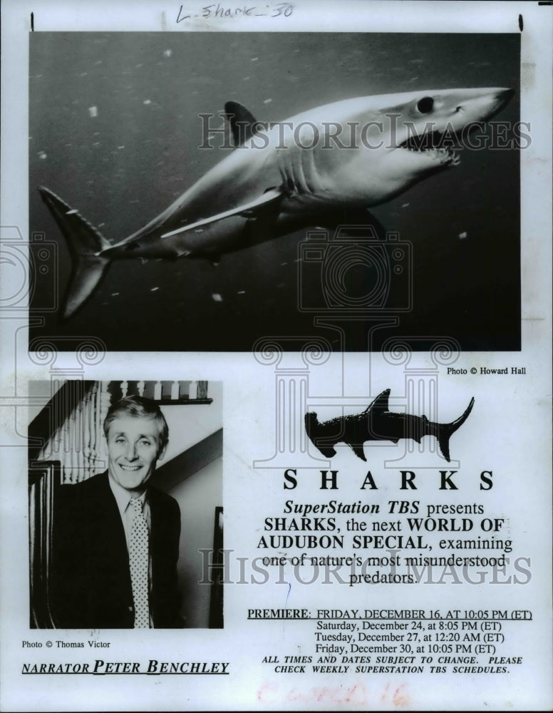 1988 Press Photo Sharks - cvb31145 - Historic Images