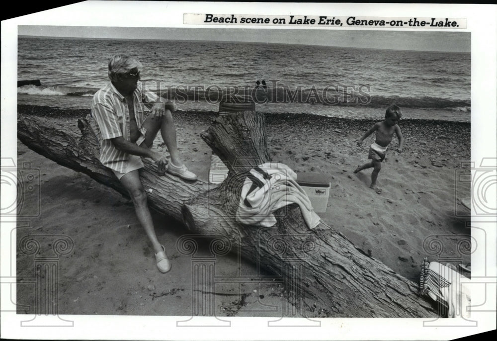 Press Photo Beach scene on Lake Erie, Geneva-on-the-Lake - cvb31631 - Historic Images