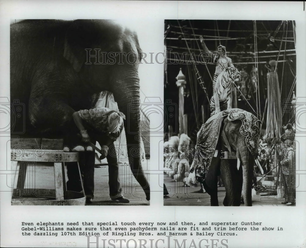 1977 Press Photo Even elephants need that special touch every now and then - Historic Images