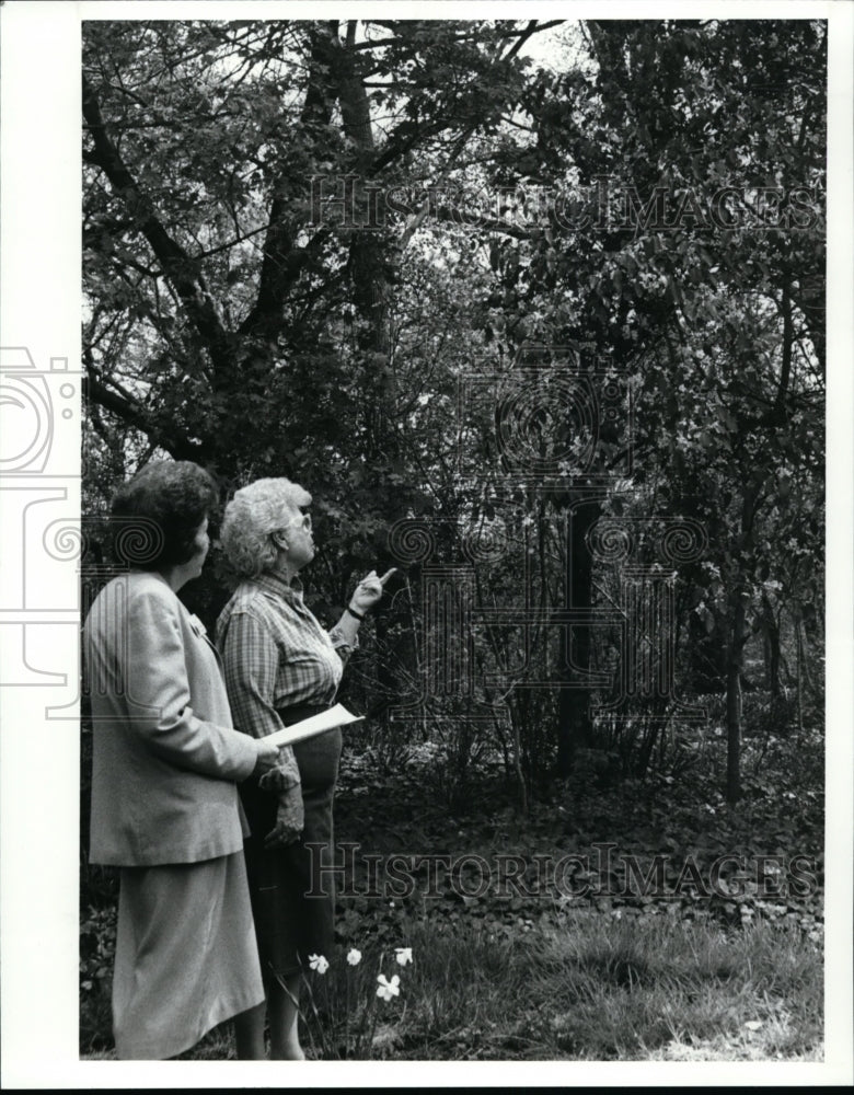 1989 Press Photo Jean Hudson Curator &amp; Flo Margolis, of Shaker Historical Museum - Historic Images