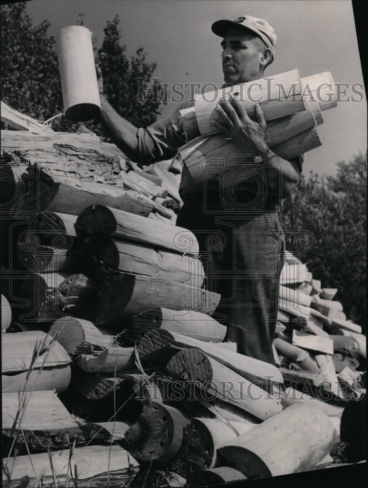 Press Photo Robert Molzon, Hambden, Ohio, Sells cord wood - cvb33296 - Historic Images