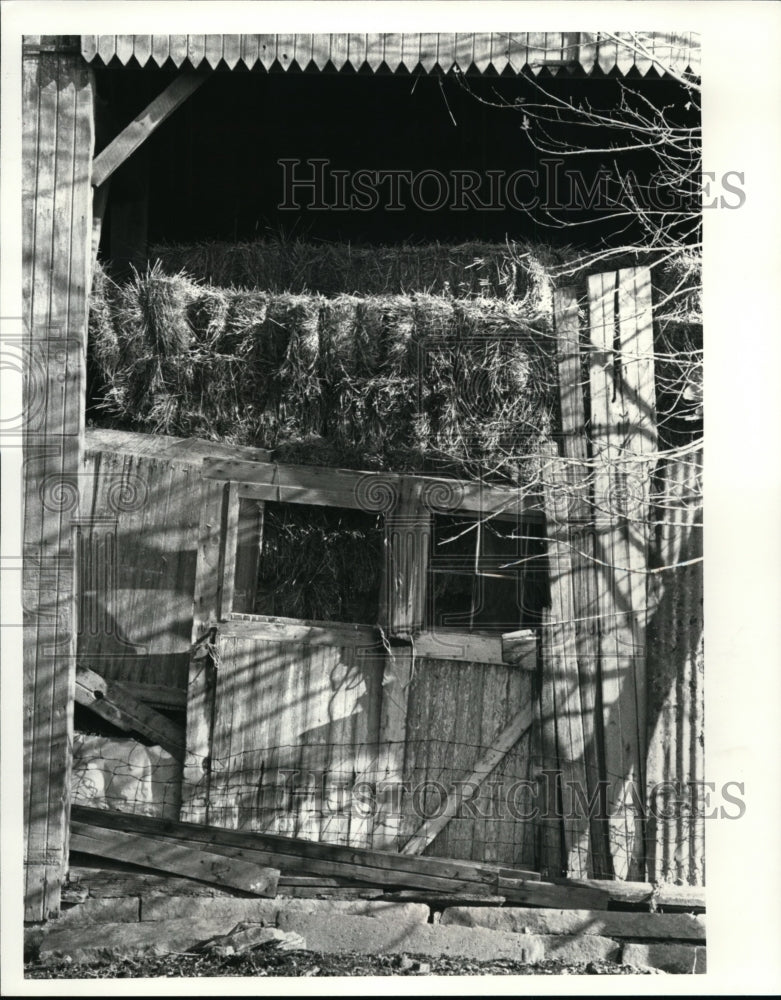 1981 Press Photo A Full Barn, Weather, Autumn - cvb33298 - Historic Images