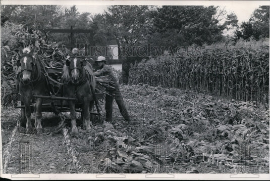 1966 Weather - Autumn-Historic Images