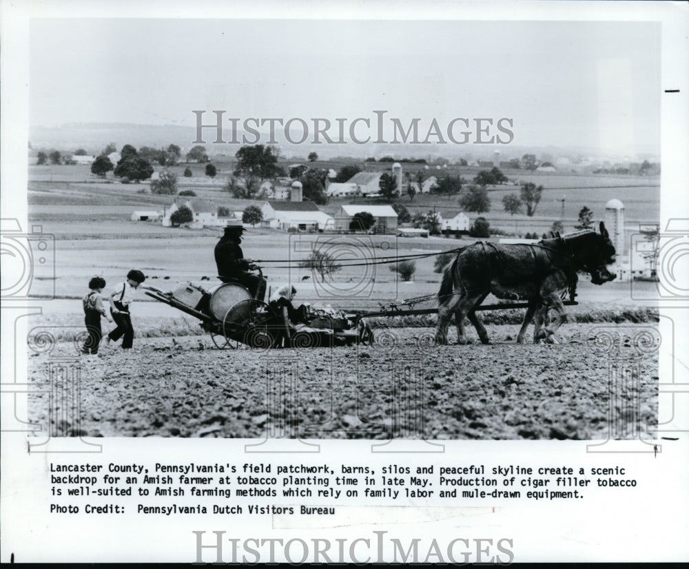 1993 Press Photo Lancaster County, Pennsylvania&#39;s field - cvb33860 - Historic Images