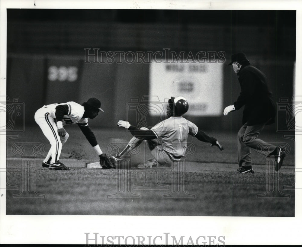 Press Photo Caught by the catcher - cvb34038 - Historic Images