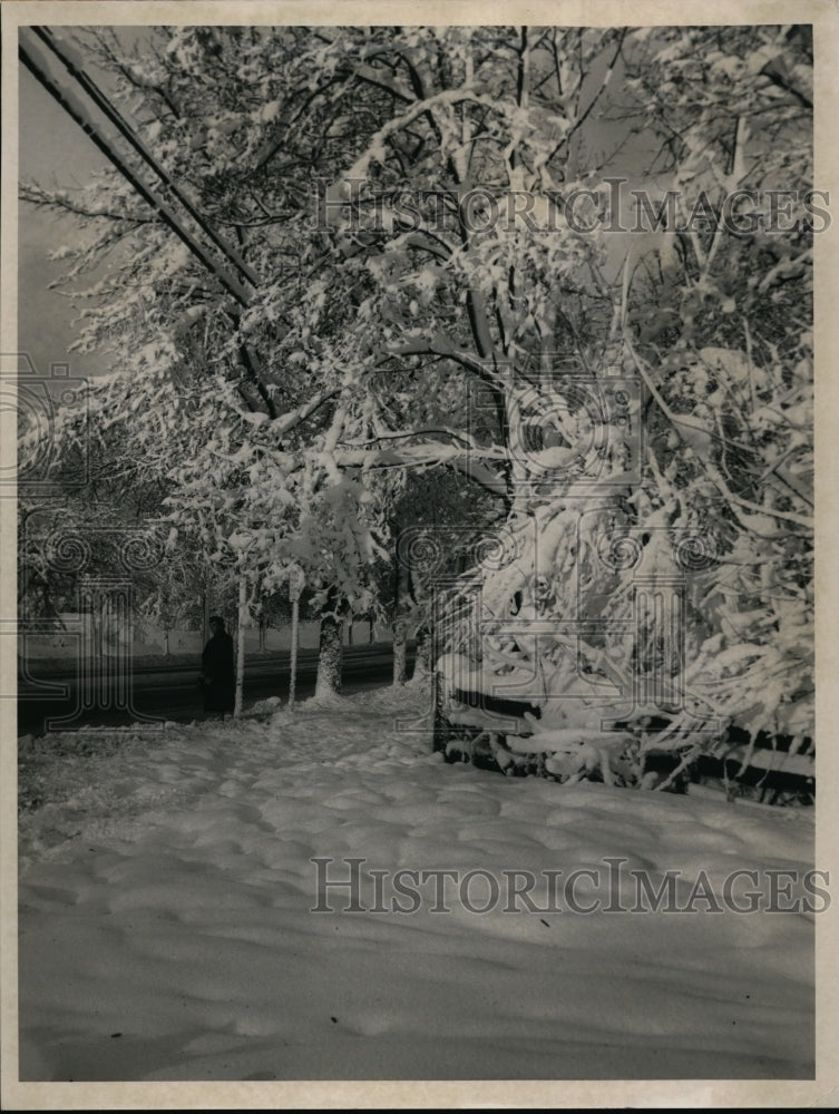 1957 Press Photo Weather, Cold - cvb34563 - Historic Images