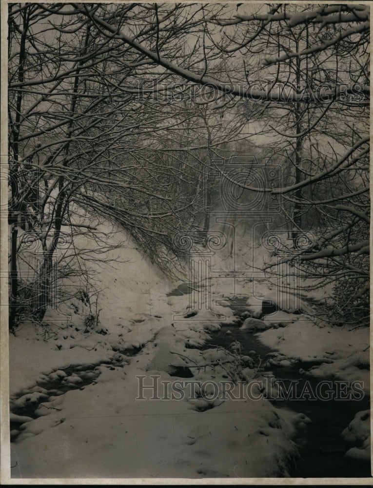 1944, Snow scene at Brookside Park - cvb34749 - Historic Images