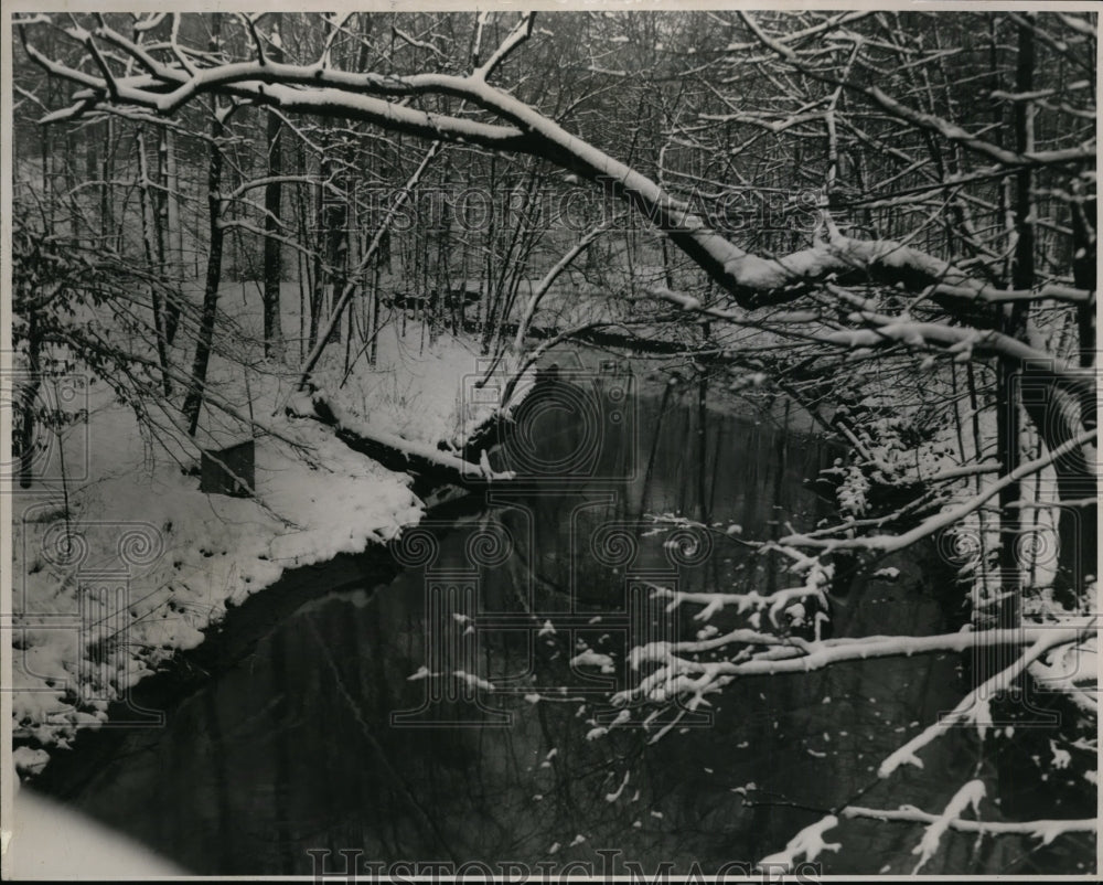 1955, Cold Weather and a stagnant water at Bratenahl,Ohio - cvb35061 - Historic Images