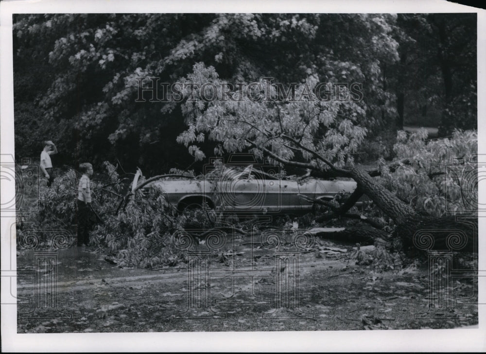 1970 Press Photo Car fell on tree on Bobit Blvd near Somersville Hill - Historic Images