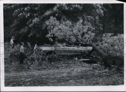 1970 Press Photo Car fell on tree on Bobit Blvd near Somersville Hill - Historic Images