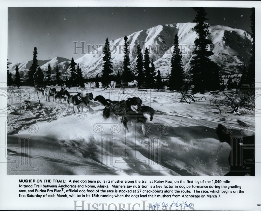 1987 Press Photo Sled Dog team pulls it musher &amp; races, 1049 mile Iditarod - Historic Images