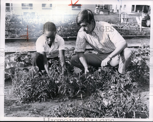 1967 Neighborhood gardeners Charles Mosby Jr. & Vista volunteer Jim-Historic Images