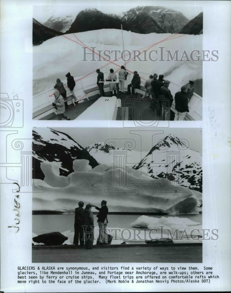 1985 Press Photo Alaska Glaciers-Mendenhall in Juneau and Portage - cvb36008 - Historic Images