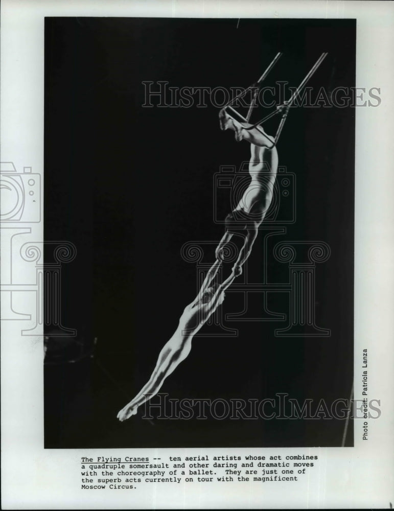 1988 Press Photo Ten aerial artists whose act combines a quadruple somersault - Historic Images