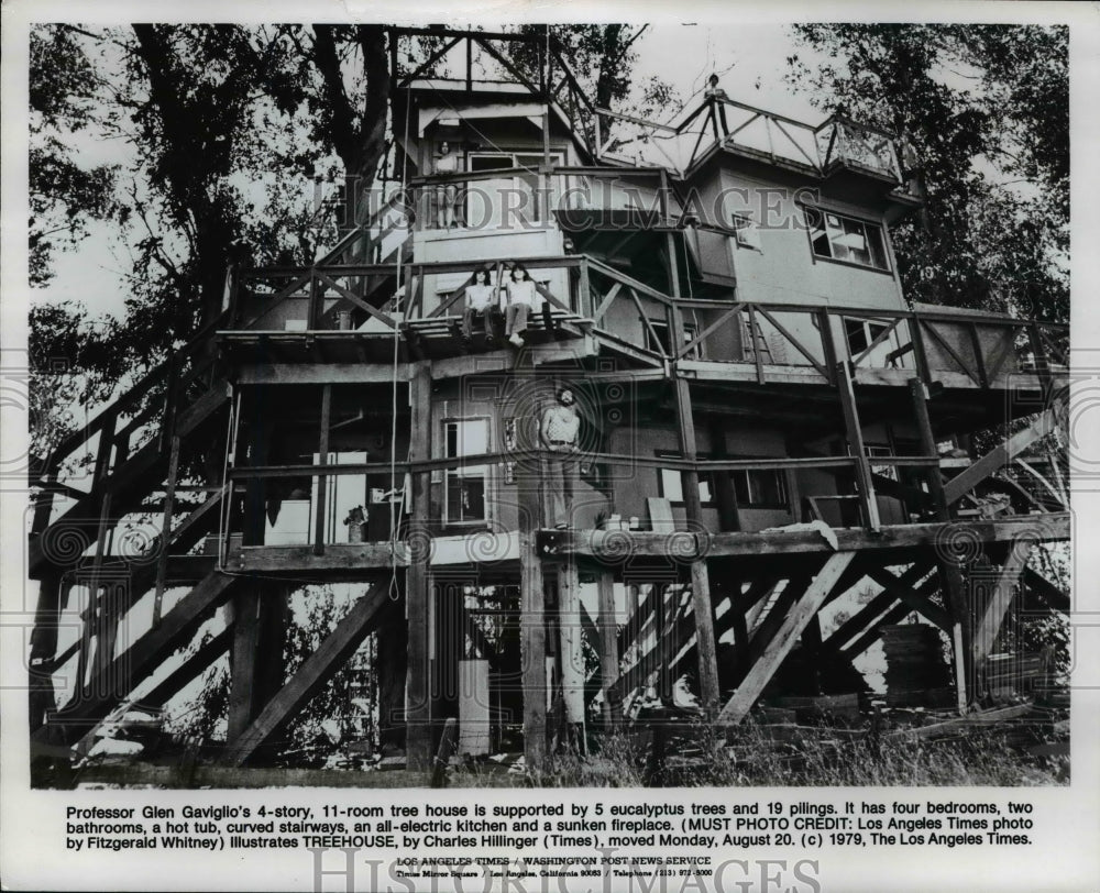 1979 Press Photo Professor Glen Gaviglio-tree house - cvb36607 - Historic Images