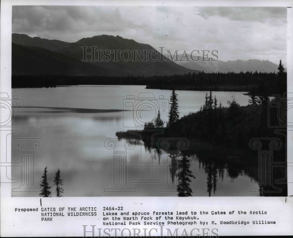 1978 Press Photo Lakes and spruce forests lead to the Gates of the Arctic - Historic Images