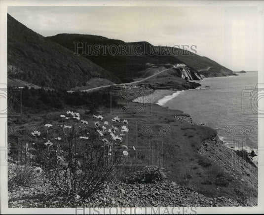 Press Photo Cape Breton Highlands National Park, Nova Scotia - cvb36708 - Historic Images