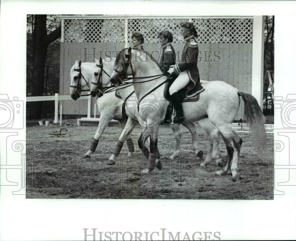 1989 Press Photo Sea World Aurora Media Preview Party Royal Lipizzan Stallions - Historic Images