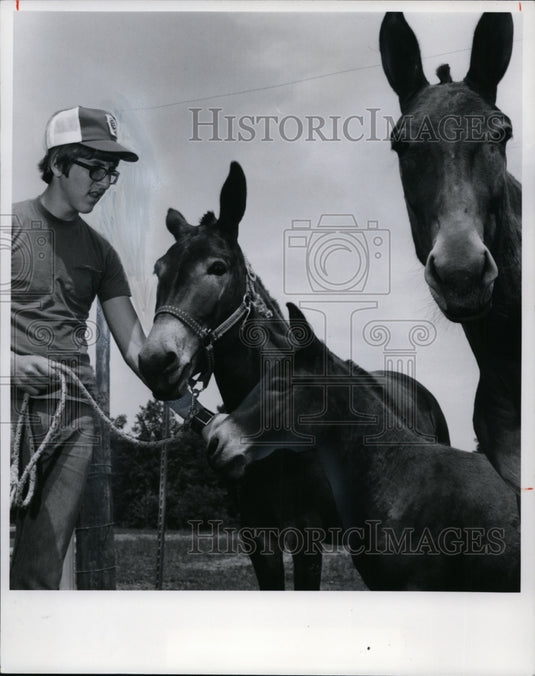 1977 Press Photo Mark Hulbert with Pepsi,a hinny;Gus,a miniature mule,and Lady - Historic Images