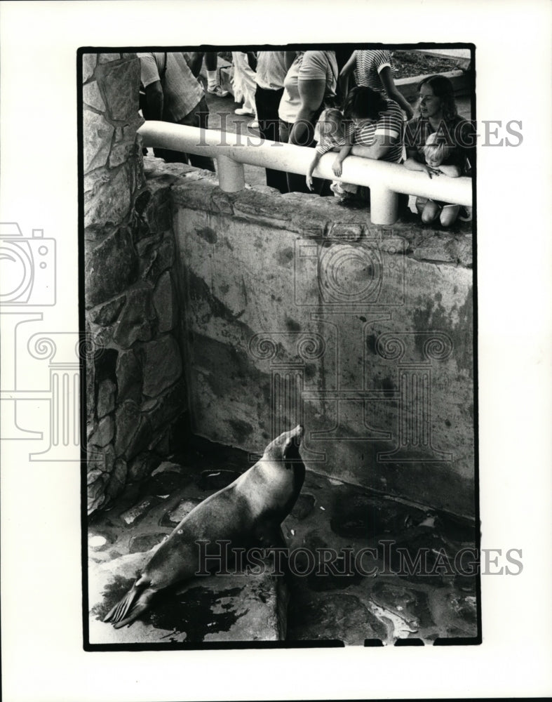 1983 Press Photo Sea lion pool-Cleveland Metroparks Zoo - cvb37661 - Historic Images